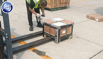 Xinyue Steel Shear Stud to UAE for Steel Structure Xinyue Steel Shear Stud to UAE for Steel Structure